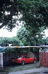 Alpa_test_23