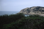 Alpa_test_27