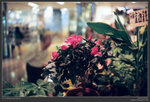 minilux_RA_18
