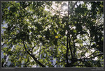 minilux_RA_5