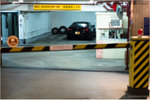 M9_50luxBP-11032522
