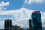 L1005598