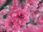 201004 105