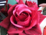 201004 512