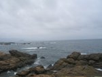 IMG_0009
