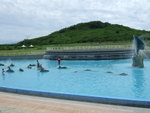 DSCF0512