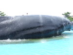 DSCF0520