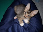 7�J