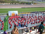 P3030516