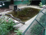 DSC02548