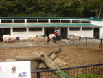 DSC02550