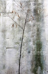 SuZhou08_123FS