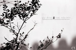 SuZhou08_224FS