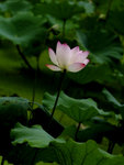 a_6176859