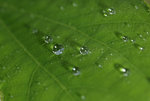 a_6166671
