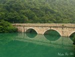 P9060869p