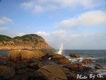_B050523P
