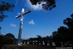 DSC_2429ps1 (800 x 536)