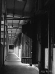 _A062126p