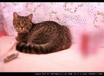 IMG_7581