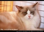 IMG_7512