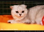 IMG_7533