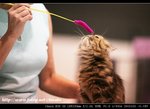 IMG_7802