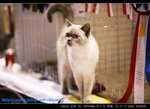 IMG_7821