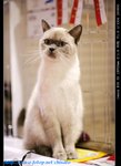 IMG_7826
