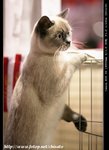 IMG_7839