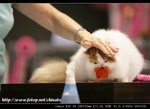 IMG_7854
