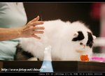 IMG_7859