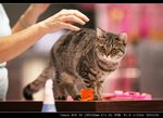 IMG_7852