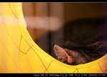 IMG_7896