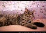IMG_7927