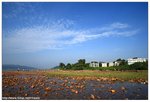 IMG_4503