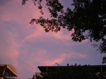DSC01825