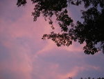 DSC01826