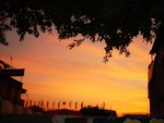 DSC01829