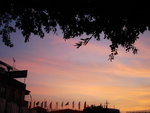 DSC01832