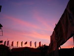 DSC01834
