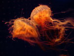 DSC01615
