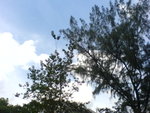 DSC00032