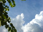 DSC00050