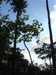 DSC00054