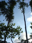 DSC00055