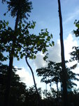 DSC00056