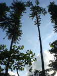 DSC00057