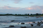 3�Ӥ� 220