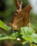 1�Ӥ� 1222763